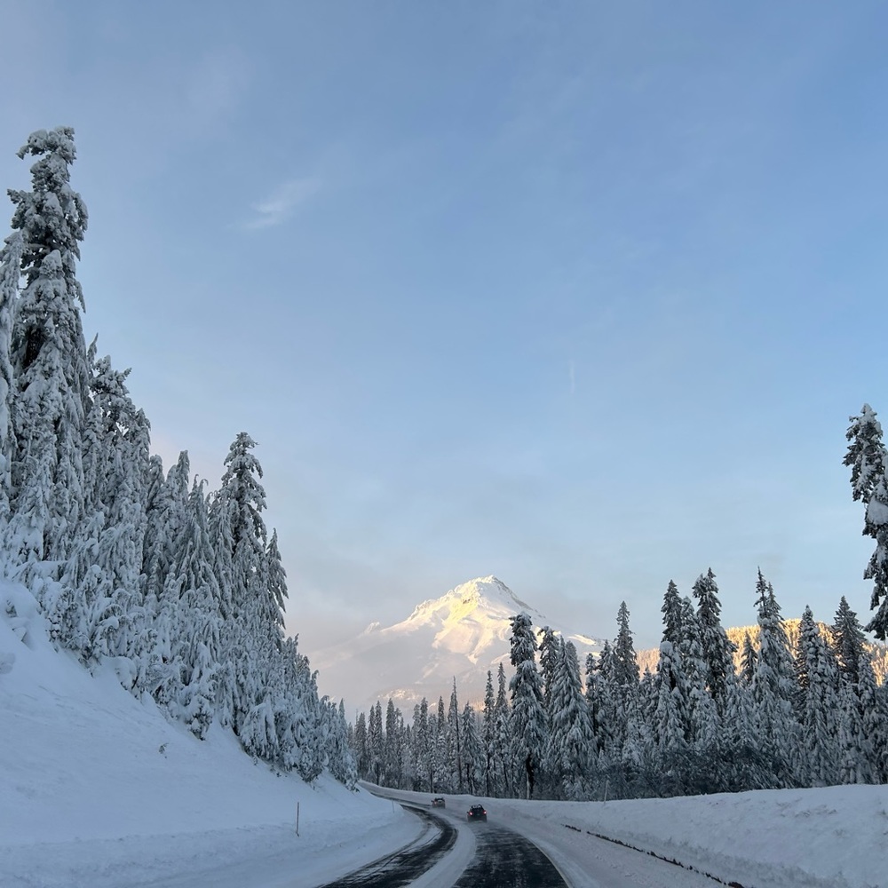 Meet your Posher, Jocelyn
